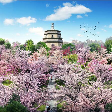 开封繁塔禹王台公园景观工程