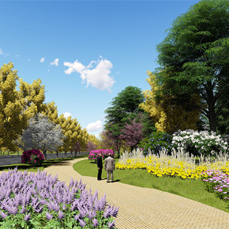 湖南路淄川段道路景观改造设计